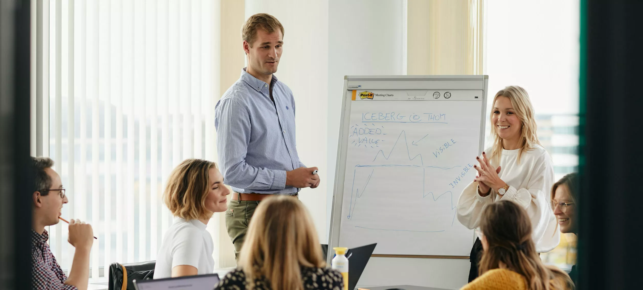 Junior Consultant Application